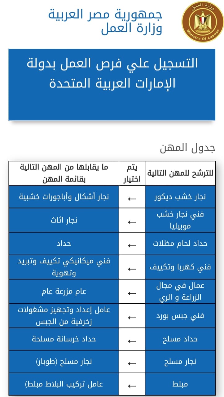 وزير القوى العامله 